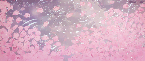 A Bunch Of Pink Petals Are Floating In A Pool Of Water GIF