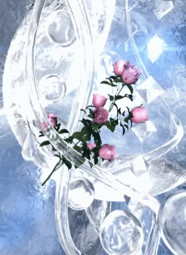 A Bunch Of Pink Roses Are Floating In A Glass GIF