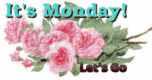 A Bunch Of Pink Roses With The Words It 'S Monday Let 'S Go Below Them GIF