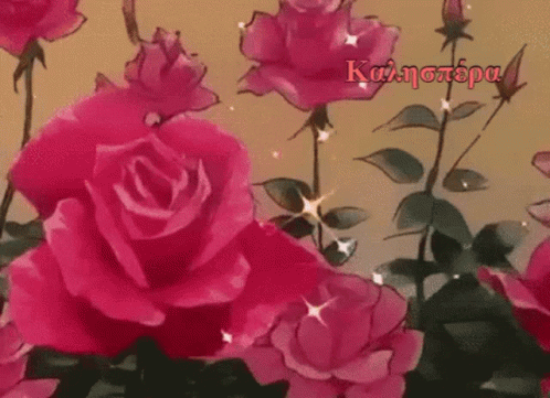 A Bunch Of Pink Roses With The Words Καλησπερα In The Upper Right GIF
