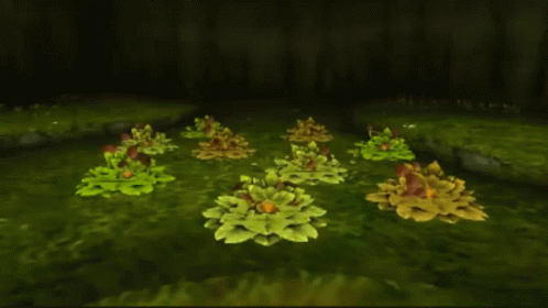 a bunch of plants with holes in them are sitting in the grass