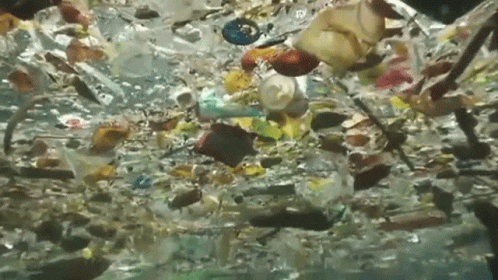 A Bunch Of Plastic Bottles Are Floating In The Ocean . GIF