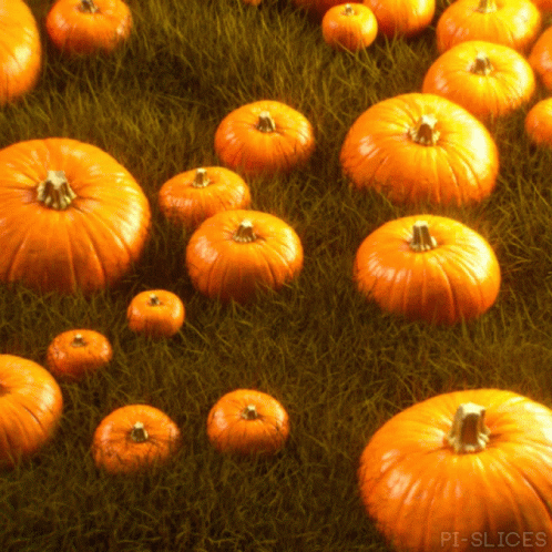 A Bunch Of Pumpkins In The Grass With Pi-Slices In The Corner GIF