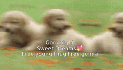 A Bunch Of Puppies Are Laying In The Grass With The Words " Goodnight Sweet Dreams Free Young Thug Free Gunna " GIF