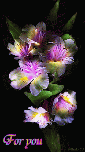 A Bunch Of Purple And White Flowers With The Words For You On The Bottom GIF