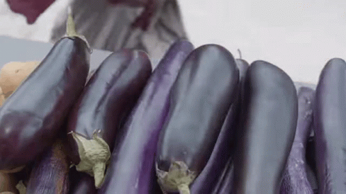A Bunch Of Purple Eggplants Are Sitting On Top Of A Table . GIF