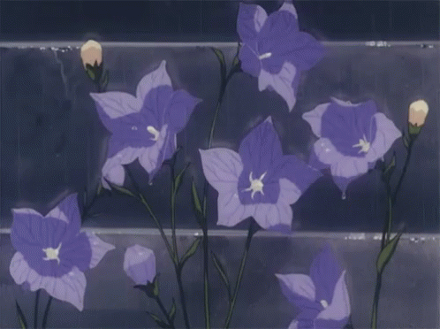 A Bunch Of Purple Flowers Are Growing On A Fence In The Rain . GIF