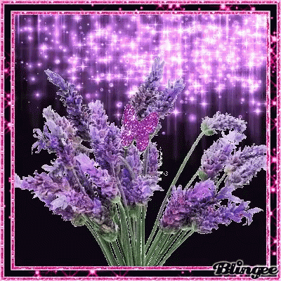 A Bunch Of Purple Flowers With A Pink Butterfly On Top GIF