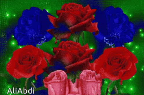 A Bunch Of Red And Blue Roses With The Name Aliabdi On The Bottom GIF