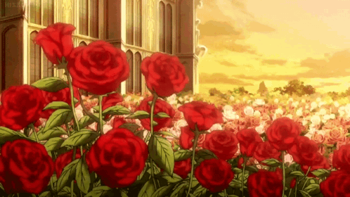 A Bunch Of Red Roses Are Growing In Front Of A Building GIF