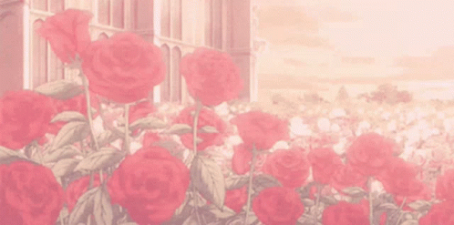 A Bunch Of Red Roses In A Field With A Building In The Background . GIF