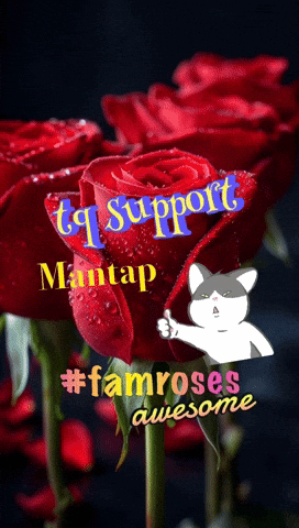 A Bunch Of Red Roses With The Words Tq Support Mantap #Famroses Awesome On The Bottom GIF