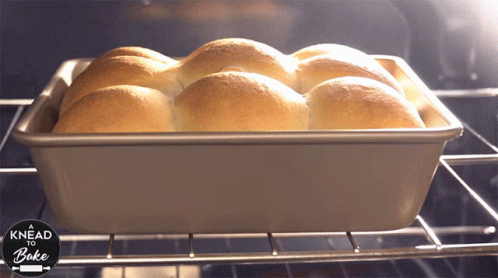 A Bunch Of Rolls In A Pan With Knead To Bake Written On The Bottom GIF