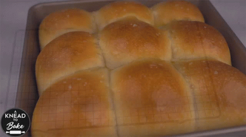 A Bunch Of Rolls In A Pan With The Words Knead To Bake On The Bottom GIF