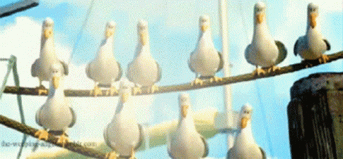 A Bunch Of Seagulls Are Sitting On A Wire With The Website The-World-Of-Birds.com In The Corner GIF