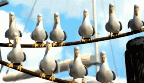A Bunch Of Seagulls Standing On A Wire GIF