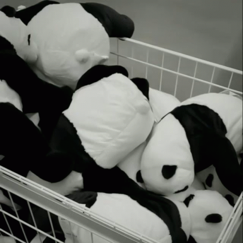 A Bunch Of Stuffed Panda Bears In A White Basket GIF