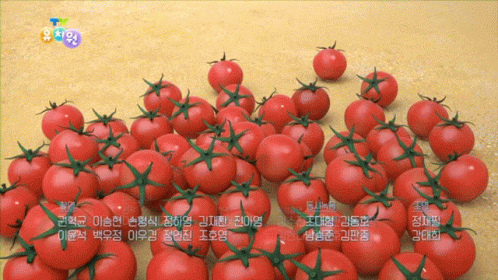 A Bunch Of Tomatoes Are Sitting On A Table With Foreign Writing GIF