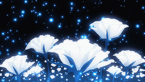 A Bunch Of White Flowers With Blue Lights Behind Them GIF