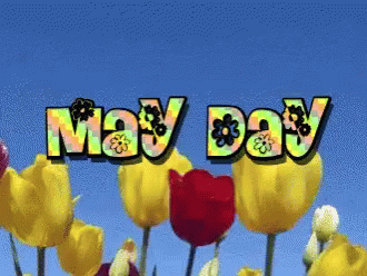 A Bunch Of Yellow And Red Flowers With The Words May Day On Top GIF