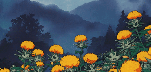A Bunch Of Yellow Flowers Are Growing In A Field With Mountains In The Background GIF