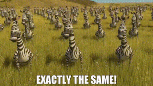 A Bunch Of Zebras Standing In A Field With The Words Exactly The Same Below Them GIF