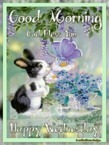A Bunny Is Kissing A Flower With The Words Good Morning God Bless You Happy Wednesday On The Bottom GIF