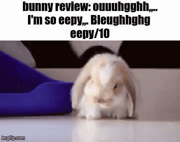 A Bunny Rabbit Is Standing On A White Surface Next To A Blue Object . GIF