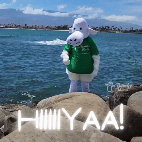 A Bunny Wool Mascot Is Standing On A Rock Near The Ocean GIF