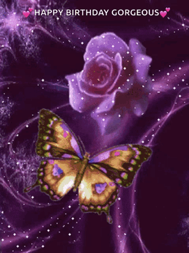 A Butterfly Is Flying In Front Of A Purple Rose On A Purple Background GIF
