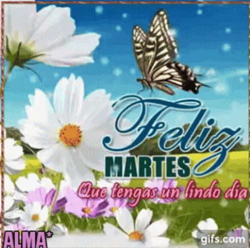 A Butterfly Is Flying Over A Field Of Flowers And The Words Feliz Martes GIF