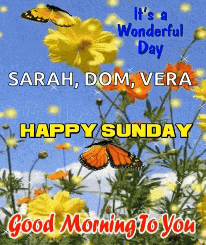 A Butterfly Is Flying Over A Field Of Yellow And Orange Flowers . GIF