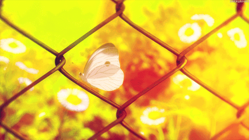 A Butterfly Is Perched On A Chain Link Fence With A Yellow Background GIF