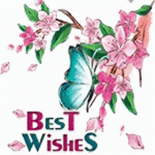 Pink Flowers With Best Wishes Text GIF