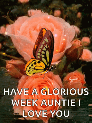 A Butterfly Is Sitting On A Pink Rose With The Words Have A Glorious Week Auntie I Love You Below It GIF
