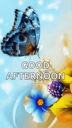 A Butterfly Is Sitting On Top Of A Flower With The Words `` Good Afternoon '' Written On It . GIF