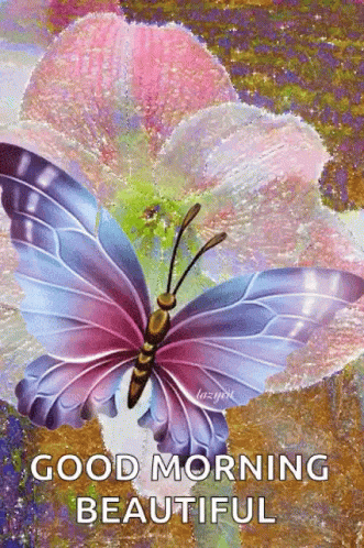 A Butterfly Is Sitting On Top Of A Pink Flower And Says Good Morning Beautiful . GIF