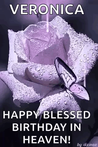 A Butterfly Is Sitting On Top Of A Purple Rose With Water Drops . GIF