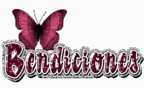 A Butterfly Is Sitting On Top Of The Words Bendiciones GIF