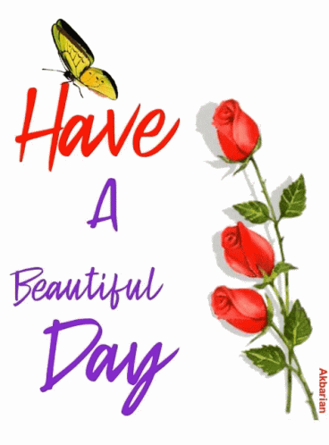 A Butterfly Sits On Top Of A Red Rose With The Words Have A Beautiful Day Below It GIF