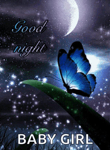 A Butterfly Sitting On A Leaf With The Words Good Night Baby Girl GIF