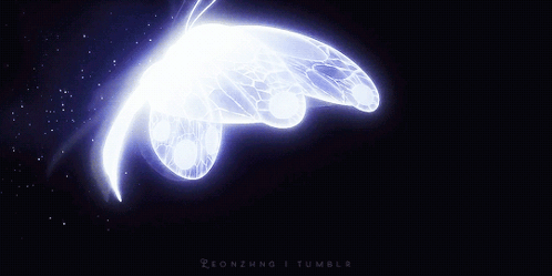 a butterfly that is glowing in the dark with the word tumblr written below it