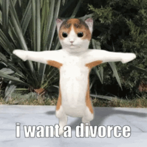 A Calico Cat With Its Arms Outstretched And The Words I Want A Divorce Below It GIF