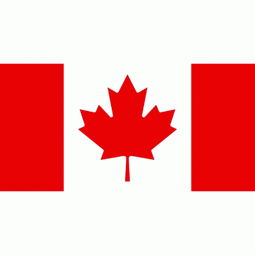 a canadian flag and a van with the words live oola on the bottom