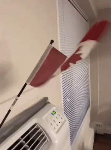 a canadian flag is blowing in the wind next to a window .