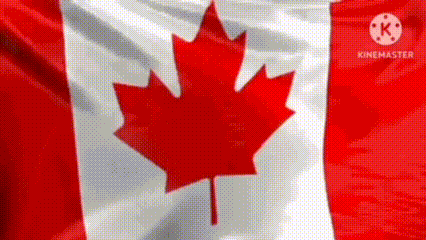 a canadian flag with a red maple leaf on it is waving in the wind .