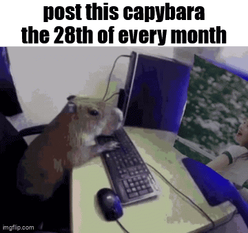A Capybara Is Sitting At A Desk With A Keyboard And Mouse GIF