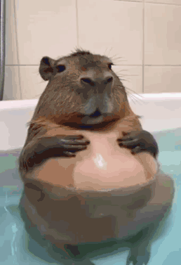A Capybara Is Sitting In A Bathtub With Its Arms Around Its Belly . GIF