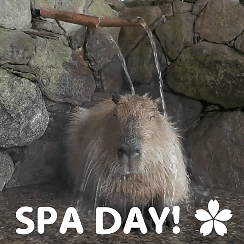 A Capybara Taking A Bath With The Words Spa Day Written Above It GIF