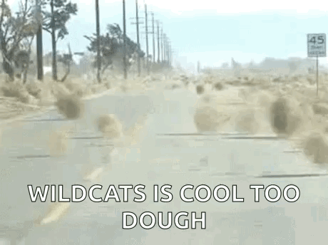 A Car Is Driving Down A Dirt Road With The Words `` Wildcats Is Cool Too Dough '' Written On The Side . GIF
